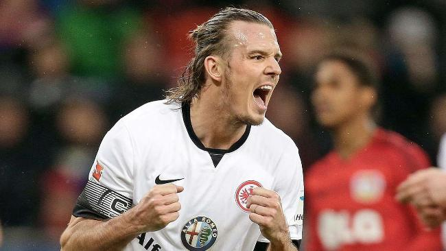 的团队阵容 的团队阵容